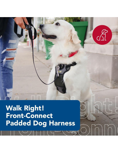 Arnés para Perros Coastal Pet Padded Walk Right Ajustable SML
