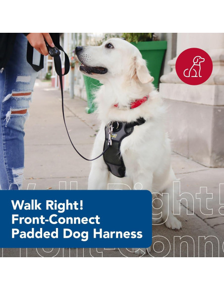 Arnés para Perros Coastal Pet Padded Walk Right Ajustable SML