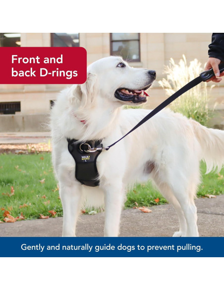 Arnés para Perros Coastal Pet Padded Walk Right Ajustable SML