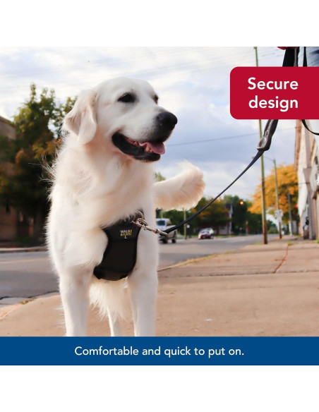 Arnés para Perros Coastal Pet Padded Walk Right Ajustable SML