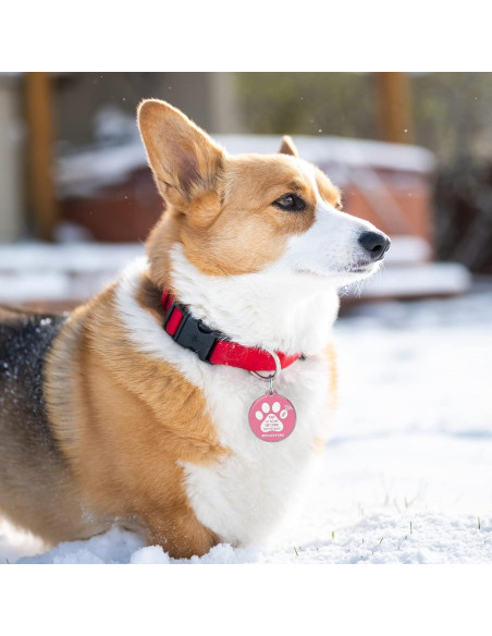 Etiqueta Inteligente MYLUCKYTAG NFC y QR para Mascotas