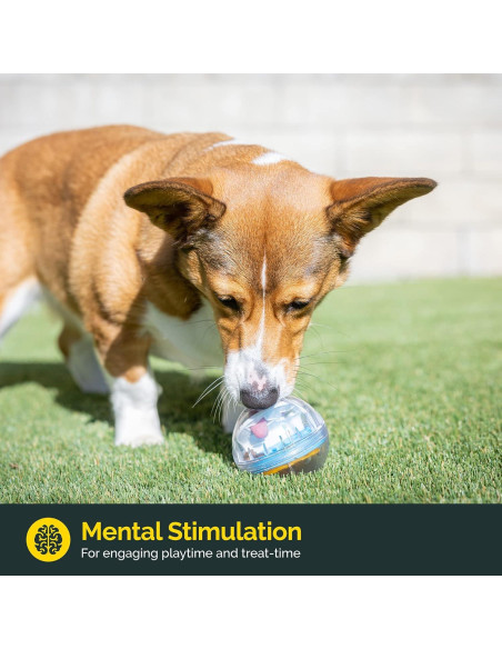 Pelota Interactiva Pet Zone IQ Treat Ball - 7,62 cm Dispensador