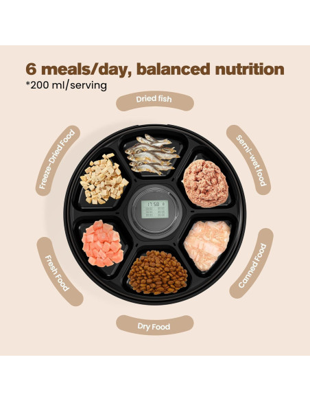 Dispensador Automático de Comida Húmeda BEMOONY F19 - 6 Comidas