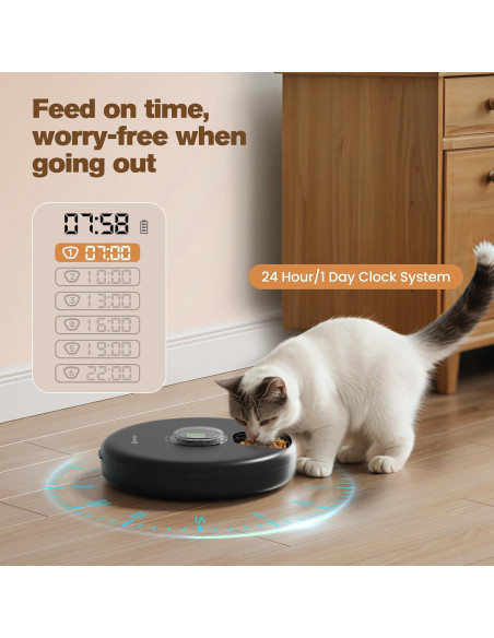 Dispensador Automático de Comida Húmeda BEMOONY F19 - 6 Comidas