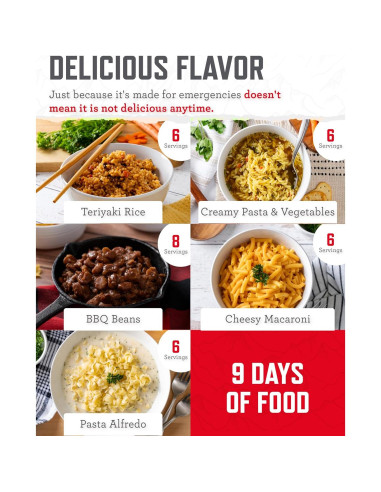Kit de Comida de Emergencia ReadyWise 100 Porciones 25 Años