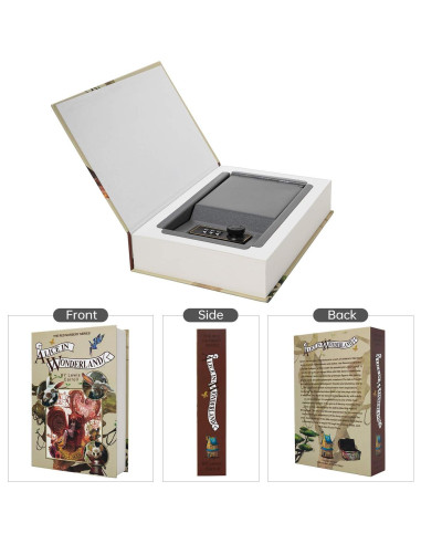 Libro de Seguridad PACOLO con Compartimento Secreto 22x15 cm