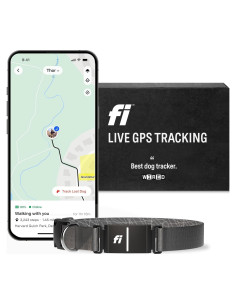 Collar Inteligente Fi Series 3 - GPS y Salud para Perros