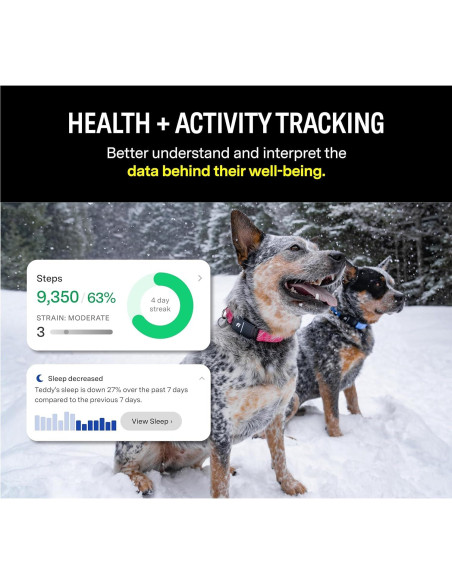 Collar Inteligente Fi Series 3 - GPS y Salud para Perros