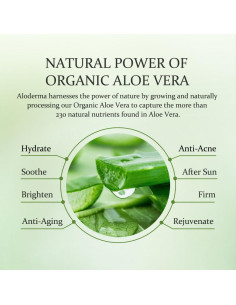 Gel de Aloe Vera Orgánico Aloderma 96% Puro 200g 2