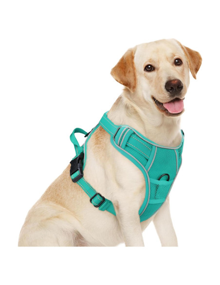 Arnés Joytale para Perros Grandes Ajustable y Reflectante Arnés Joytale para Perros Grandes Ajustable y Reflectante