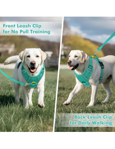 Arnés Joytale para Perros Grandes Ajustable y Reflectante 2