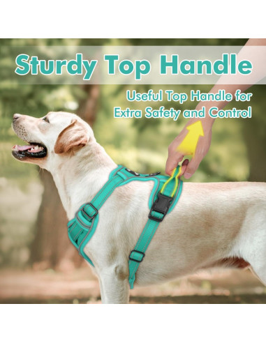 Arnés Joytale para Perros Grandes Ajustable y Reflectante