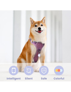 Etiqueta Identificación Mascotas Pawaii QR Silicona Púrpura 2