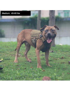 Arnés Táctico para Perros ICEFANG Mediano, Chaleco MOLLE 2