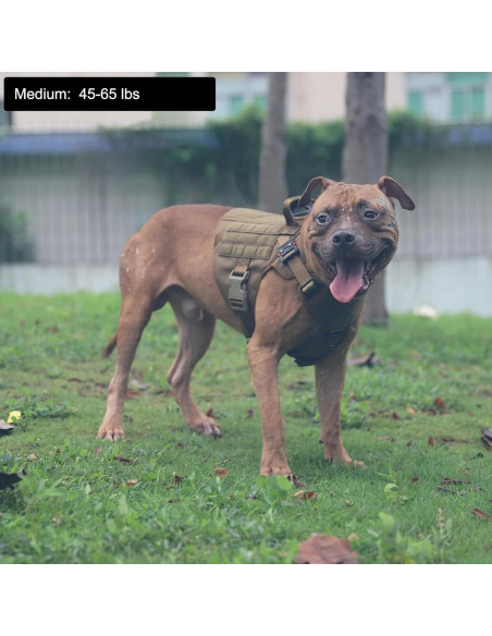 Arnés Táctico para Perros ICEFANG Mediano, Chaleco MOLLE Arnés Táctico para Perros ICEFANG Mediano, Chaleco MOLLE