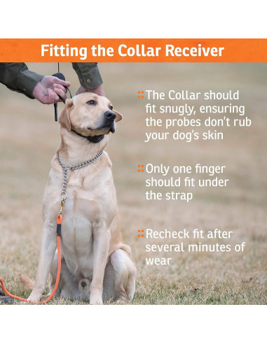 Collar de Entrenamiento SportDOG 425XS - E-Collar Recargable