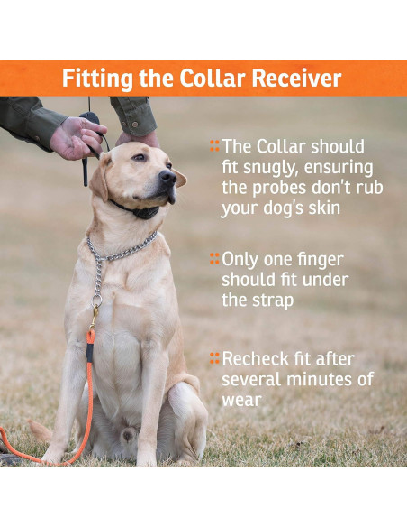 Collar de Entrenamiento SportDOG 425XS - E-Collar Recargable