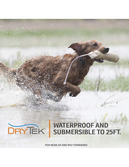 Collar de Entrenamiento SportDOG 425XS - E-Collar Recargable