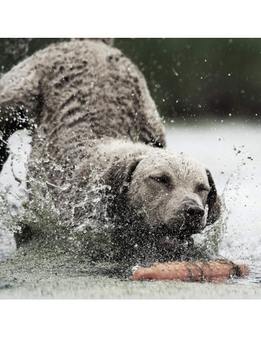 Collar de Entrenamiento SportDOG 425XS - E-Collar Recargable