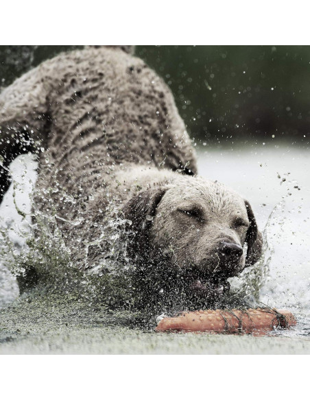 Collar de Entrenamiento SportDOG 425XS - E-Collar Recargable