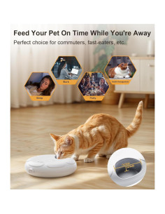 Dispensador Automático de Comida para Gatos Casfuy F13-L 2