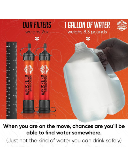 2 Popotes de Agua de Emergencia Practical Survival - Filtros 6813 L