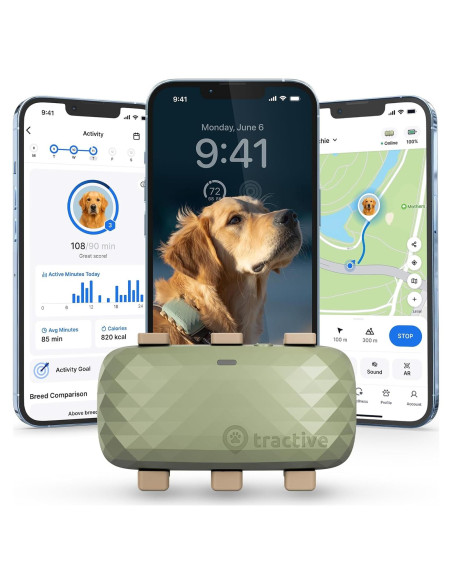 Rastreador GPS Tractive XL para Perros +22,68 kg Verde