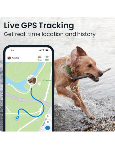 Rastreador GPS Tractive XL para Perros +22,68 kg Verde 2