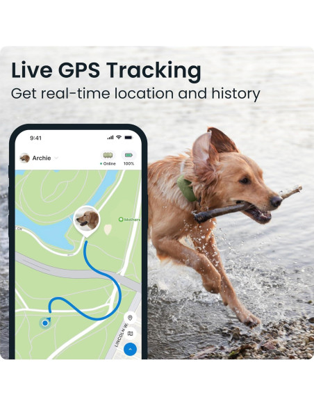 Rastreador GPS Tractive XL para Perros +22,68 kg Verde
