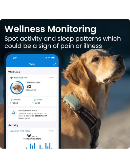 Rastreador GPS Tractive XL para Perros +22,68 kg Verde