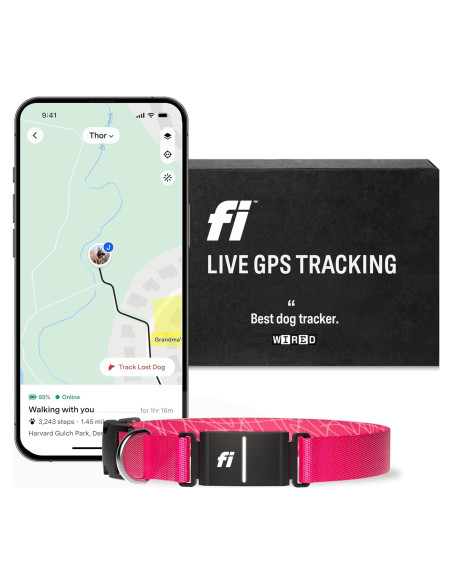 Collar Inteligente Fi Series 3 - GPS y Salud para Perros