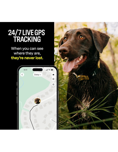 Collar Inteligente Fi Series 3 - GPS y Salud para Perros