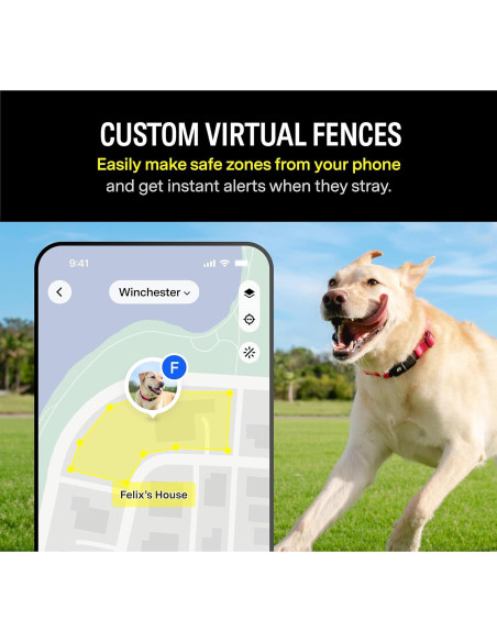 Collar Inteligente Fi Series 3 - GPS y Salud para Perros