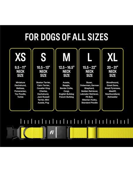Collar Inteligente Fi Series 3 - GPS y Salud para Perros