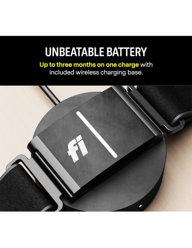 Collar Inteligente Fi Series 3 - GPS y Salud para Perros