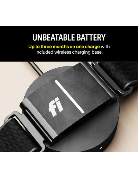 Collar Inteligente Fi Series 3 - GPS y Salud para Perros