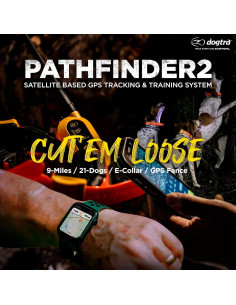 Collar GPS Dogtra Pathfinder 2 para Perros Grandes 2
