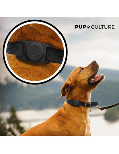 Collar para Perros Pup Culture AirTag | Soporte Negro 2,54 cm 2