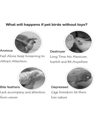 Juguete Musical para Loro Fejapa Xilófono y Campana