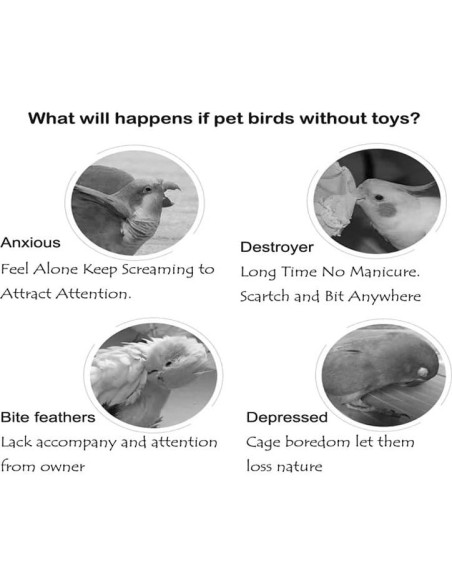 Juguete Musical para Loro Fejapa Xilófono y Campana Juguete Musical para Loro Fejapa Xilófono y Campana