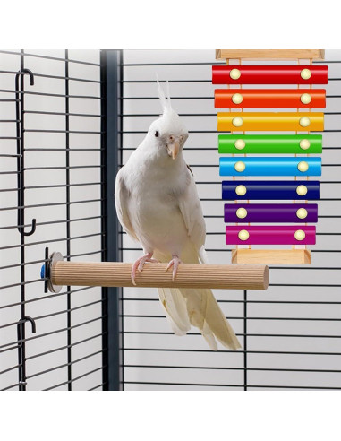 Juguete Musical para Loro Fejapa Xilófono y Campana