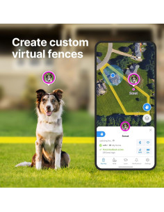 Halo Collar 4 GPS para Perros - Sistema Inalámbrico y Entrenamiento 2
