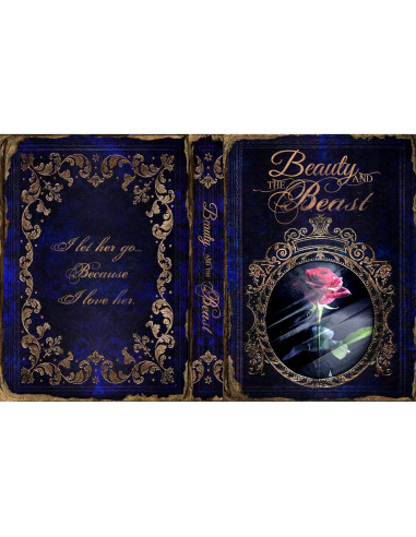 Caja de Libro Falsa KASLVOX La Bella y la Bestia 1,40 kg