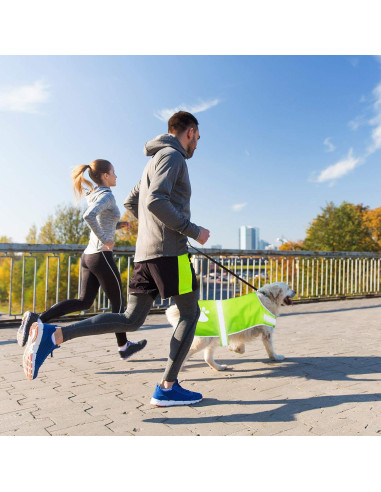 Chaleco Reflectante para Perros Geyoga 2 Piezas Ajustable