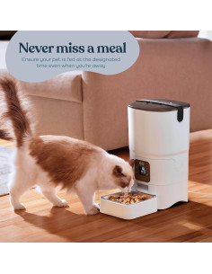 Dispensador Automático de Comida para Gatos PitPet 6L LCD 2