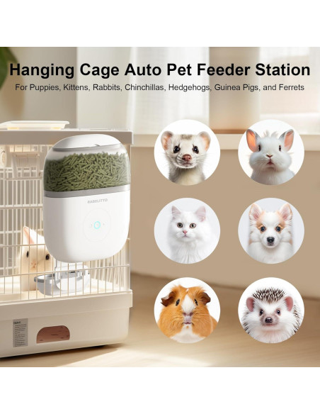 Comedero Automático RABELITTO con Cámara HD 1080P