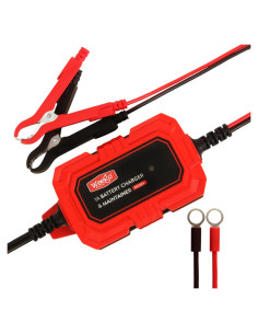 Mantenedor de Batería Weego BCM1 6V/12V Carga Automática