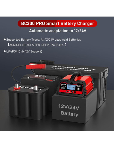 Cargador de batería inteligente LVYUAN 30A 12V/24V LCD