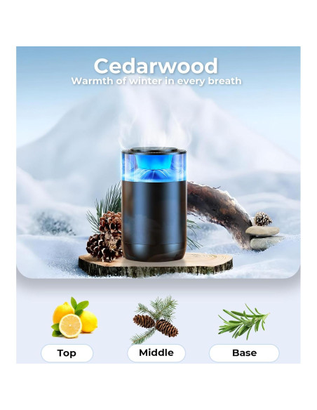 Ambientador de Aire para Autos Hitolza Madera de Cedro