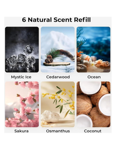 Ambientador de Aire para Autos Hitolza Madera de Cedro